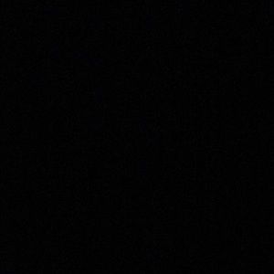 Meet your Posher, Rosa